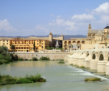 From Costa del Sol & Malaga: Cordoba Guided Day Tour