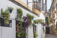 Costa del Sol, Full-Day Cordoba Tour - Housity