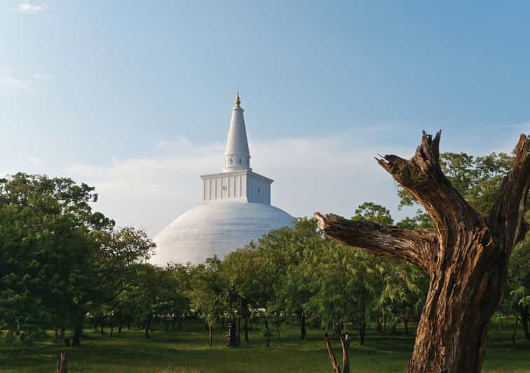 Die antike Stadt Anuradhapura Radtour GetYourGuide