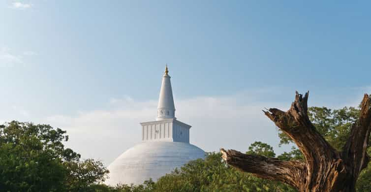 The Ancient City Of Anuradhapura Cycling Tour Getyourguide