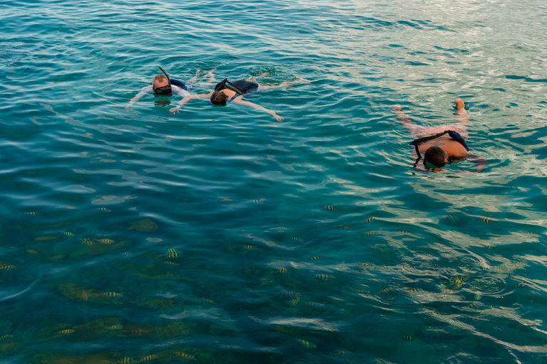 Snorkelen op Catalina eiland met eten en drinken (Hele dag)