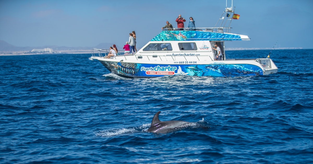 delfin tour fuerteventura katamaran