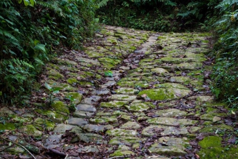 Paraty: tour de senderismo por la selva tropical de Gold Trail