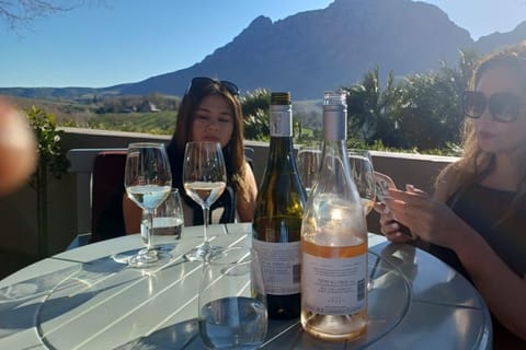 Stellenbosch, Franshoek ,Paarl Region (20 wine tastings)