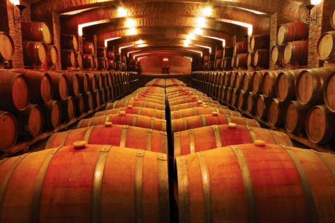 Undurraga : visite officielle des vignoblesVisite Premium en espagnol avec Aroma Room