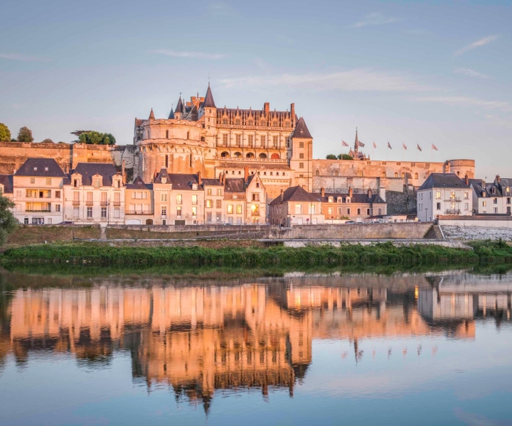 Valle della Loira: biglietto per il castello di Amboise
