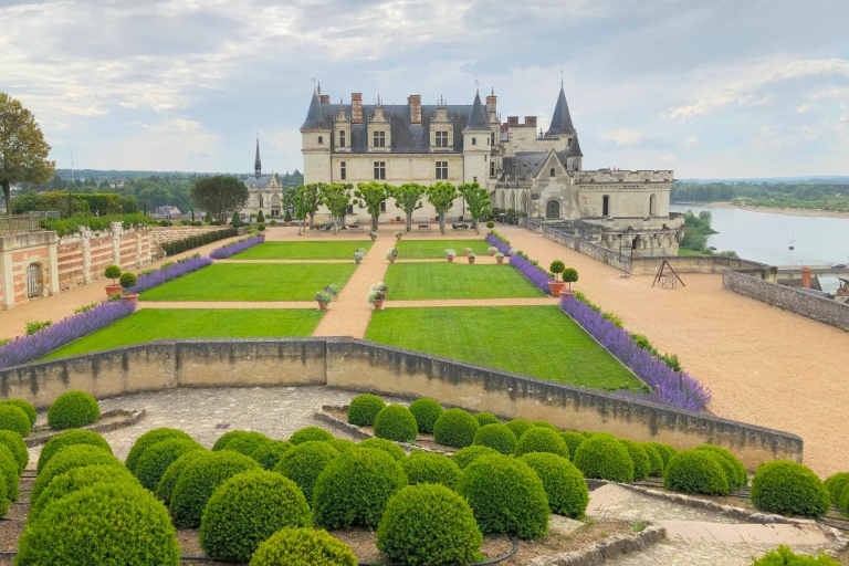 Loire-vallei: toegangsticket Château Royal d'Amboise
