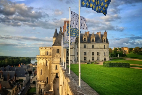 Loire-vallei: toegangsticket Château Royal d'Amboise