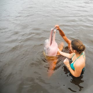 From Manaus: 3, 4 or 5-Day Jungle Tour at Tucan Lodge