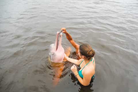 From Manaus: 2, 3, 4 or 5-Day Jungle Tour at Tucan Lodge