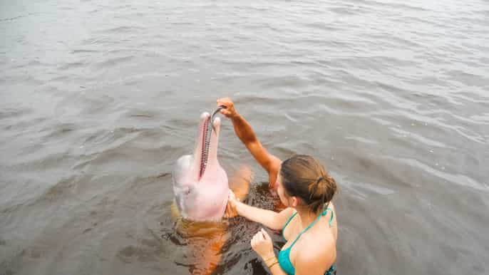 from manaus 2 3 4 or 5day jungle tour at tucan lodge