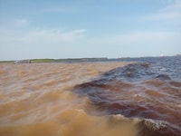 From Manaus, 3, 4 or 5-Day Tour at Tapiri Rio Negro Lodge - Housity