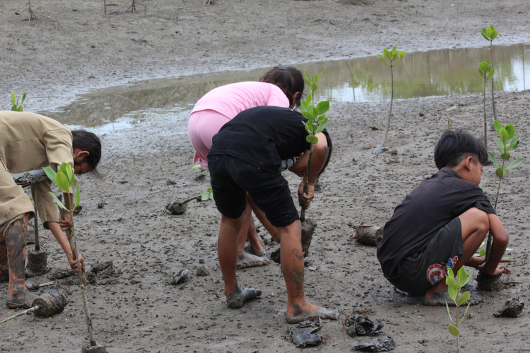 Bagek Kembar: Mangrove & Stingless Beekeeping Experience