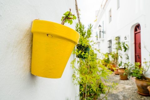 Vanuit Málaga: grotten van Nerja met voorrang & Frigiliana