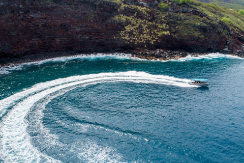 Big Island: Captain Cook Sightseeing & Snorkel ExpeditionExpeditie Captain Cook Sightseeing & Snorkel