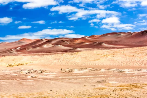 De Paracas: Tour particular pela Reserva Nacional de Paracas