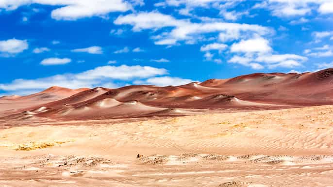 from paracas paracas national reserve private tour