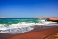 From Paracas, Paracas National Reserve Private Tour - Housity