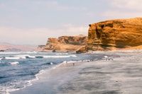 From Paracas, Paracas National Reserve Private Tour - Housity