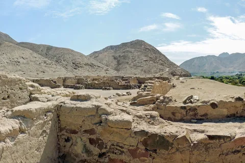 Desde Paracas: Excursión al Complejo Inca de Tambo Colorado