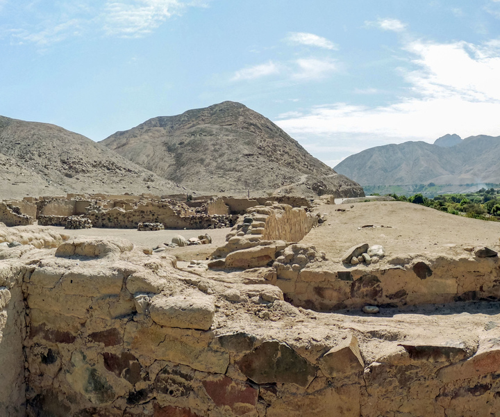 From Paracas: Tambo Colorado Inca Complex Tour