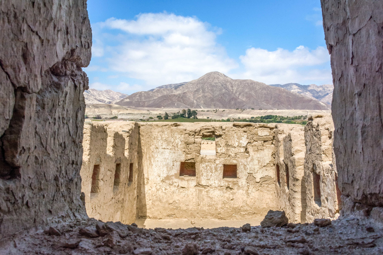 From Paracas: Tambo Colorado Inca Complex Tour