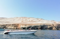 Paracas, promenade en bateau des îles Ballestas - Hizvo
