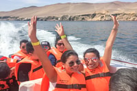 Paracas, promenade en bateau des îles Ballestas - Hizvo