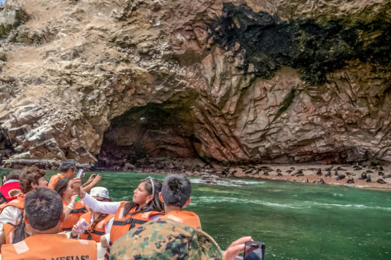 Paracas: Ballestas Islands Morning Boat Tour
