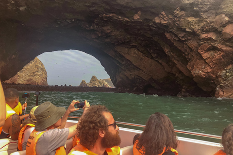 Paracas: Ballestas Islands Morning Boat Tour