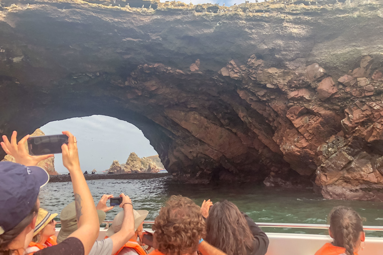 Paracas: Ballestas Islands Morning Boat Tour