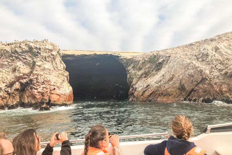 Paracas: Ballestas Islands Morning Boat Tour