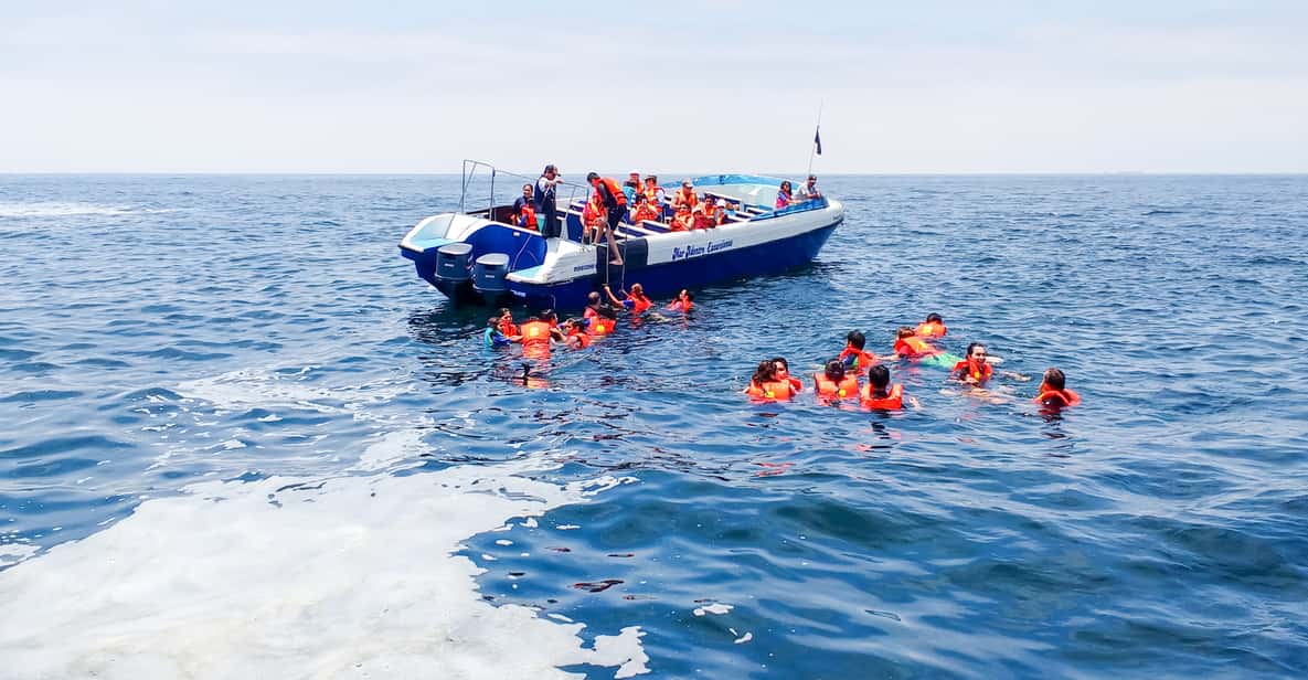 Lima: Swim with Wild Sea Lions at Palomino Islands