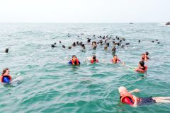 Lima: Mergulho c/ Leões-Marinhos nas Ilhas Palomino