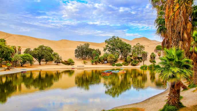 desde lima tour privado islas ballestas oasis de huacachina