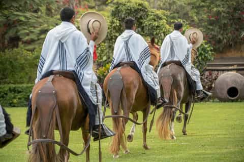 Lima: Peruvian Paso Horse Show with Lunch or Open Bar