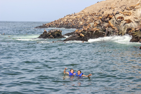 Lima: Palomino Schnellboot-Tour &amp; Schwimmen mit Seelöwen