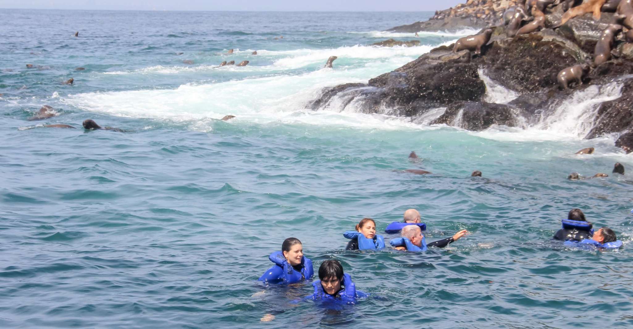 Lima: Palomino Islands Speedboat Tour & Swim with Sea Lions - Lima