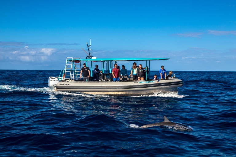 Isla Grande: Snorkel en Kona del Sur y Exploración de la Costa