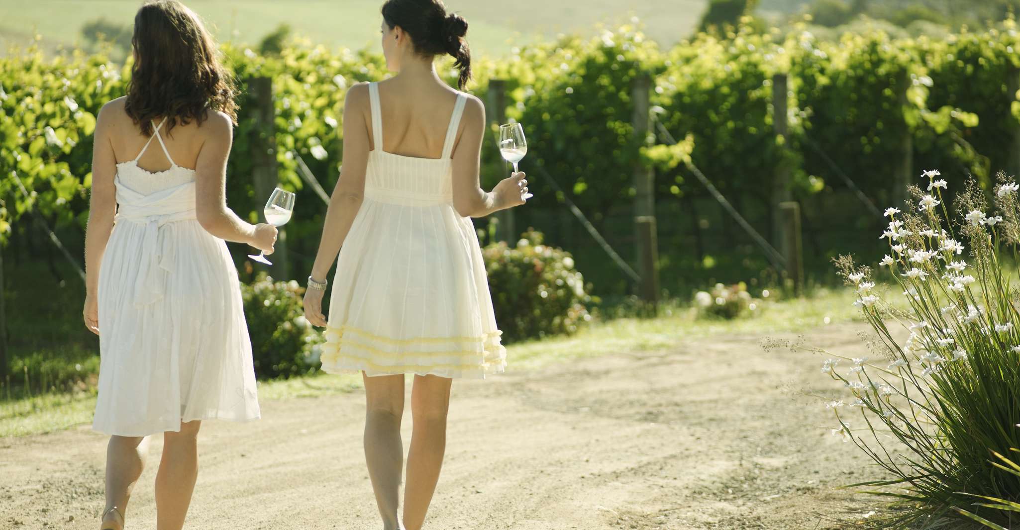 From Melbourne: Yarra Valley Chandon Cheese & Kangaroos Tour photo 6