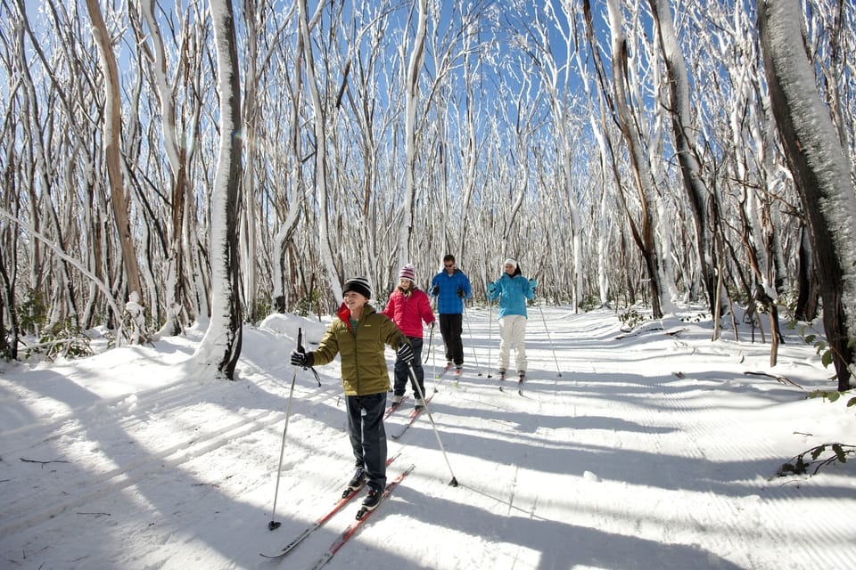 Melbourne Lake Mountain Snow Guided Tour GetYourGuide