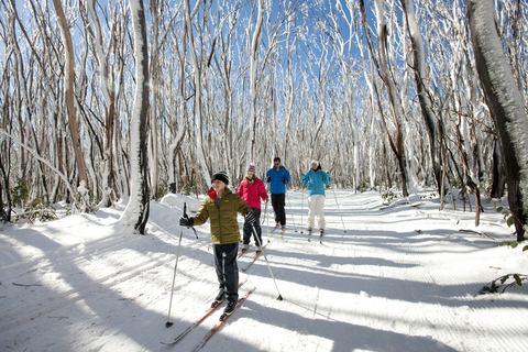 Melbourne: Lake Mountain Snow Guidad tur