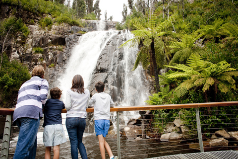 Melbourne: Lake Mountain Snow Guided Tour