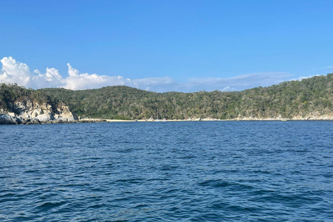 Huatulco: Private Tour Seven Bays HT