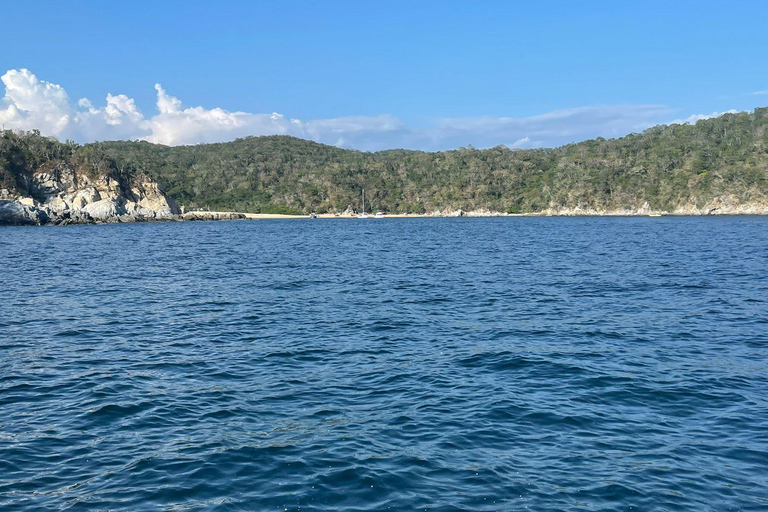 Huatulco: Private Tour Seven Bays HT