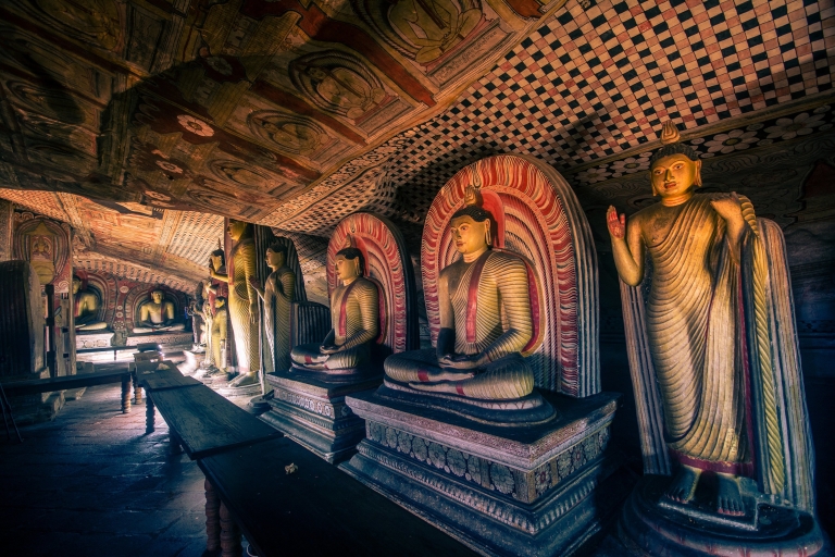 Desde Kalutara: tour de día completo de la roca de Sigiriya y la cueva de Dambulla