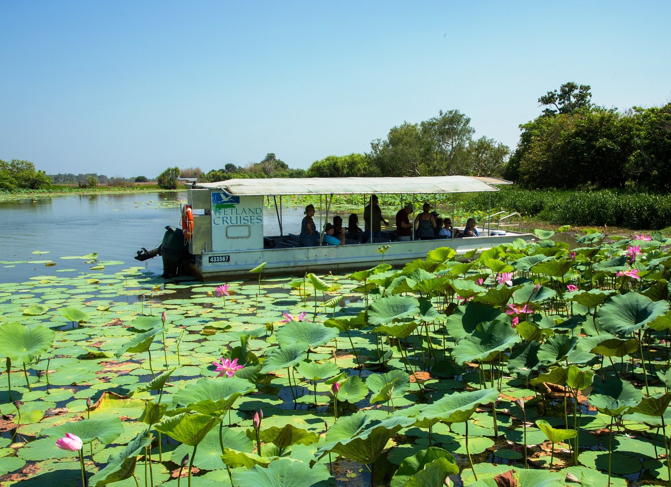 Det nordlige territorium: Corroboree Billabong Nature Cruises