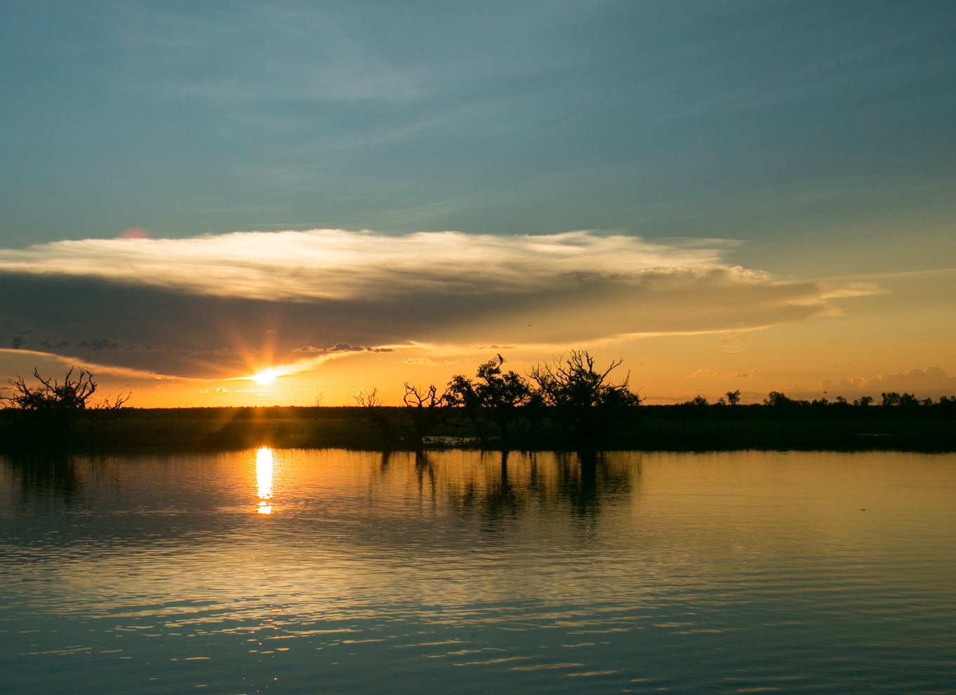 Det nordlige territorium: Corroboree Billabong Nature Cruises