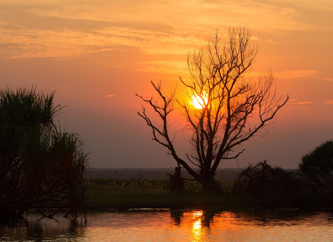 Det nordlige territorium: Corroboree Billabong Nature Cruises