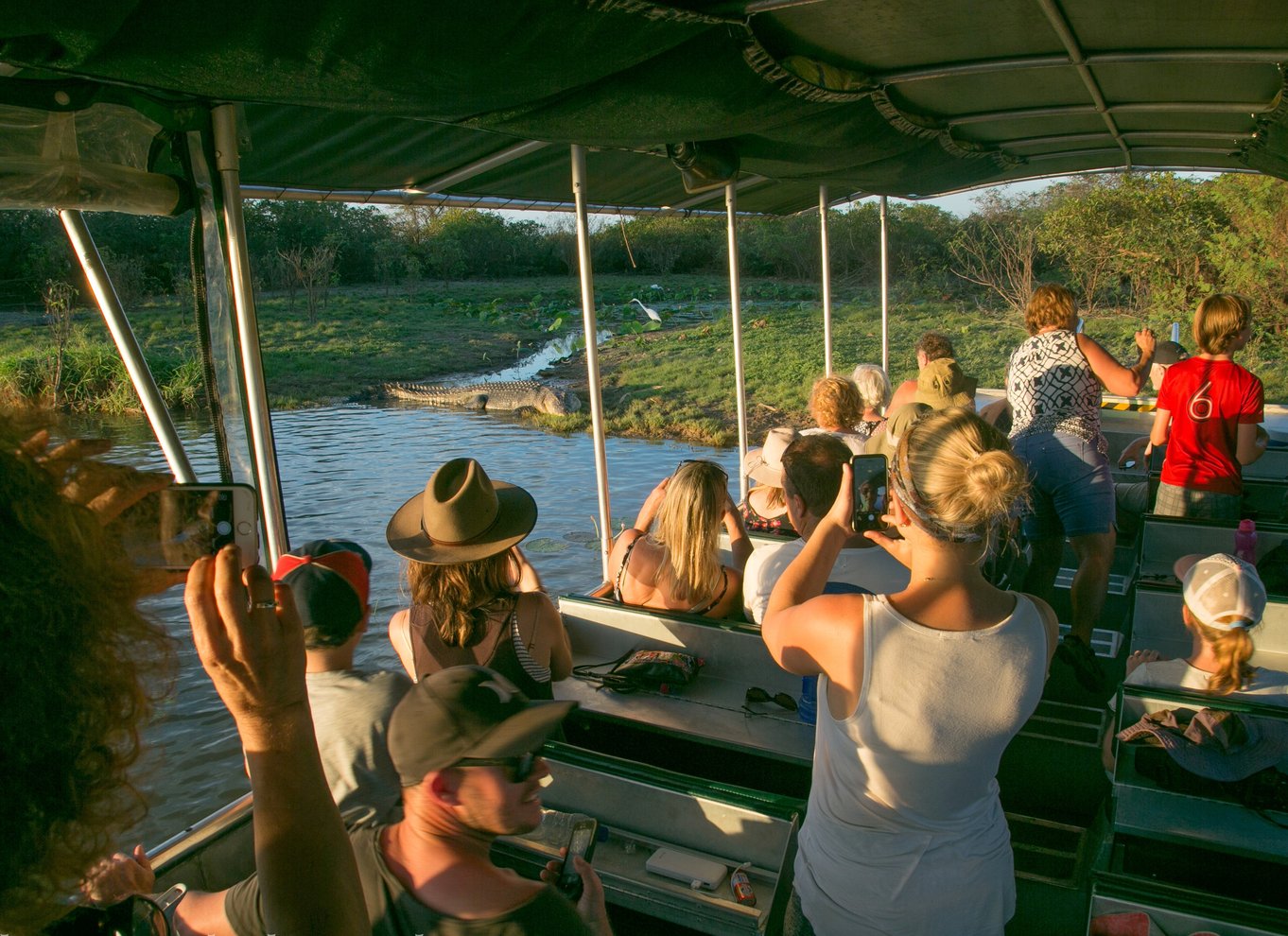 Det nordlige territorium: Corroboree Billabong Nature Cruises